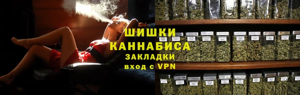хмурый Бронницы