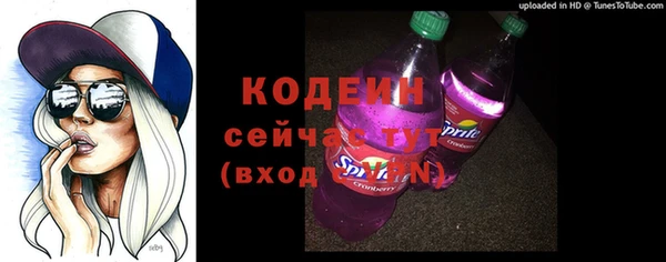 индика Бугульма