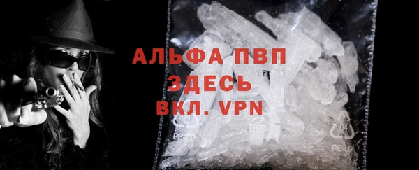 индика Бугульма