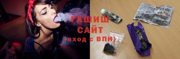 индика Бугульма