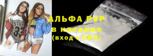 индика Бугульма