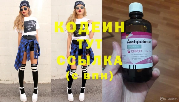 хмурый Бронницы