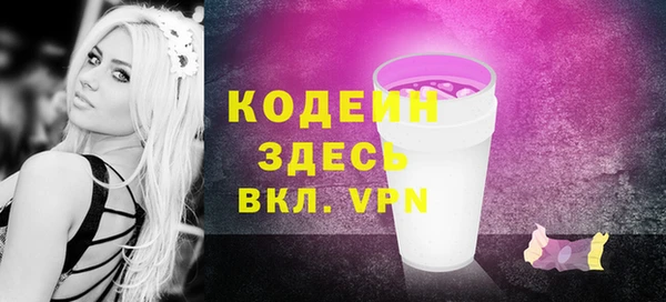 индика Бугульма
