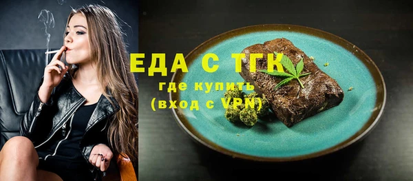 индика Бугульма
