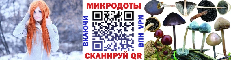 OMG рабочий сайт  Дивногорск  Галлюциногенные грибы мухоморы 